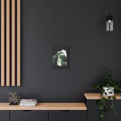 Cat and Plant 19 Canvas